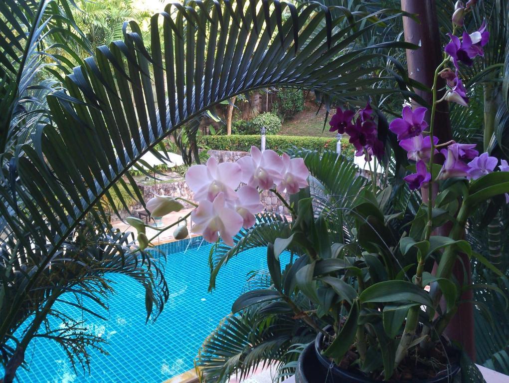 Hotel Inter House Kata Exterior foto
